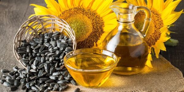 2755f6be96696c7523378543f7fc5be1 Sunflower Oils